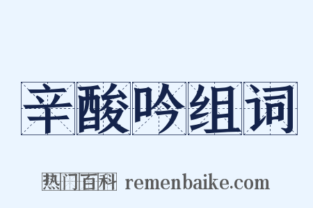辛酸吟组词是什么意思的图片